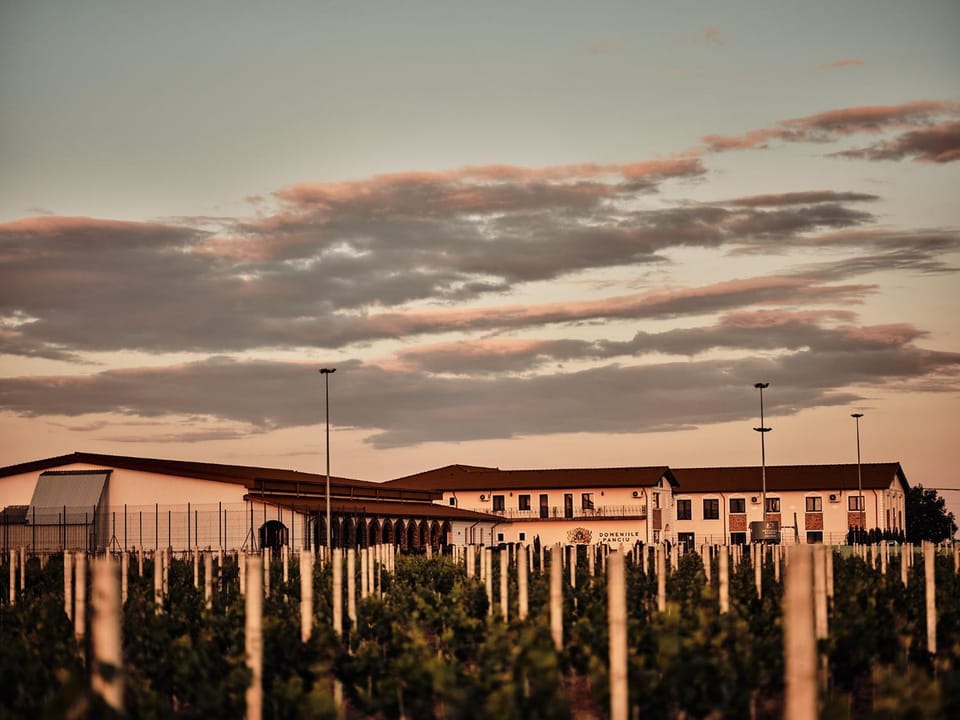 Property building, Garden, Sunset