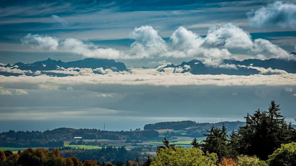 Natural landscape