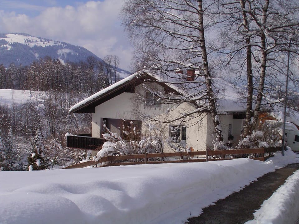 Property building, Natural landscape, Winter, Garden, Mountain view