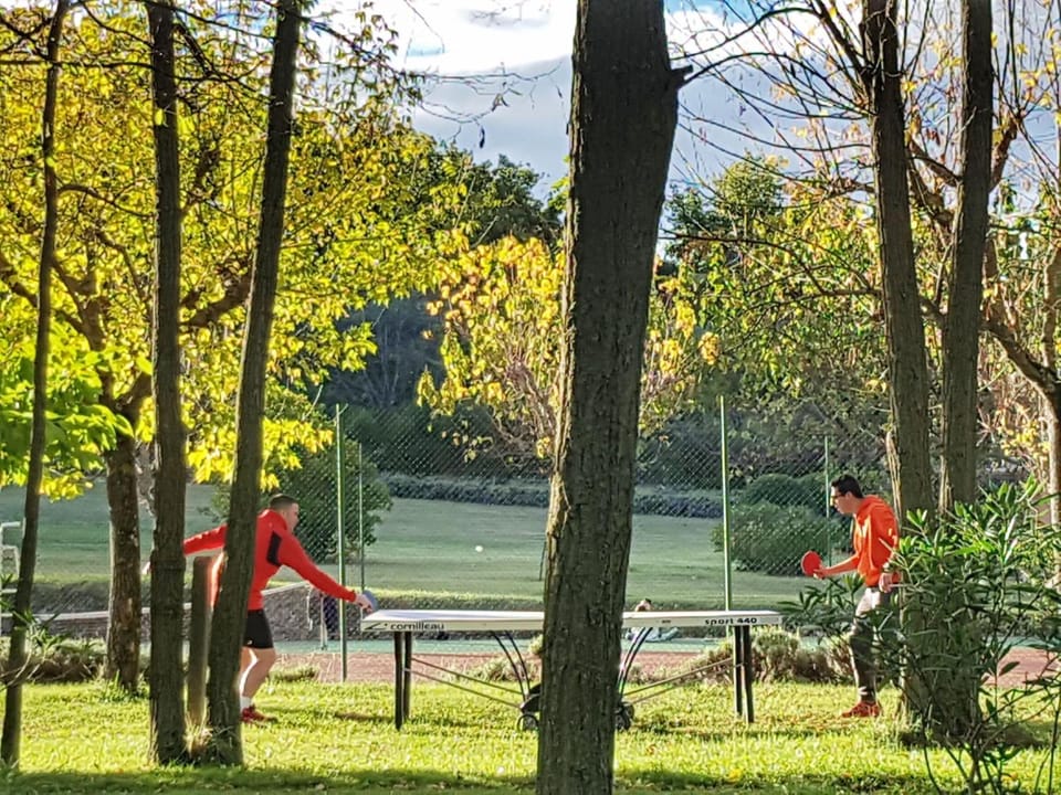 Table tennis, Tennis court
