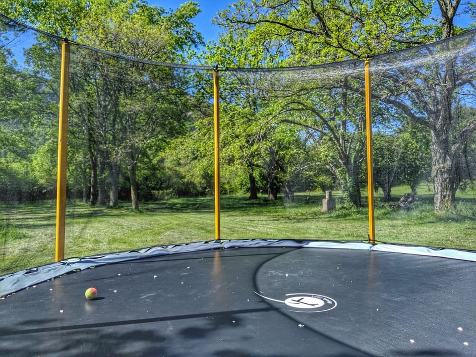 Sports, Entertainment