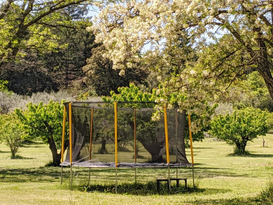 Sports, Entertainment