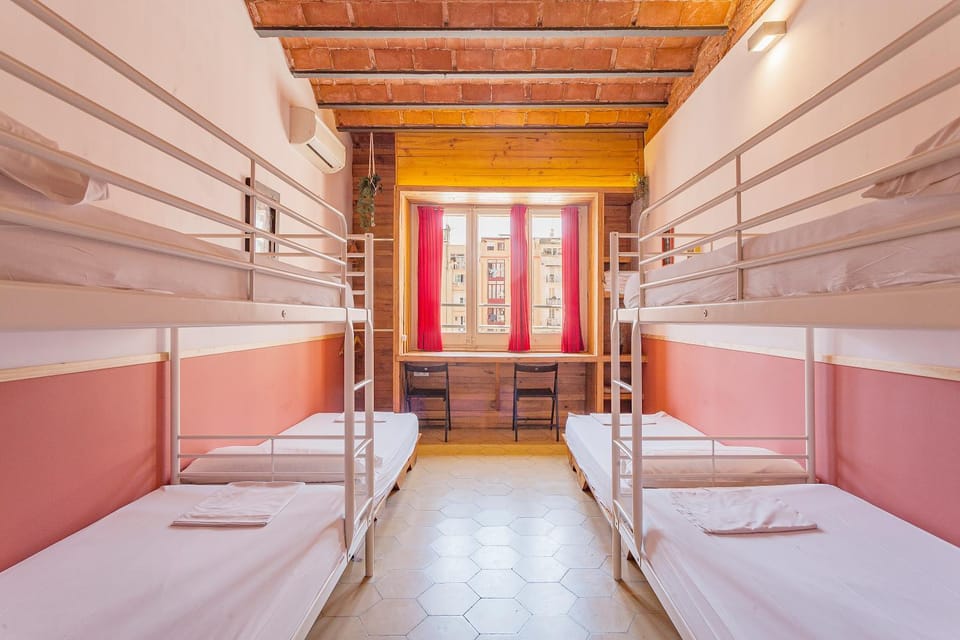Bed, Photo of the whole room, Bedroom, bunk bed