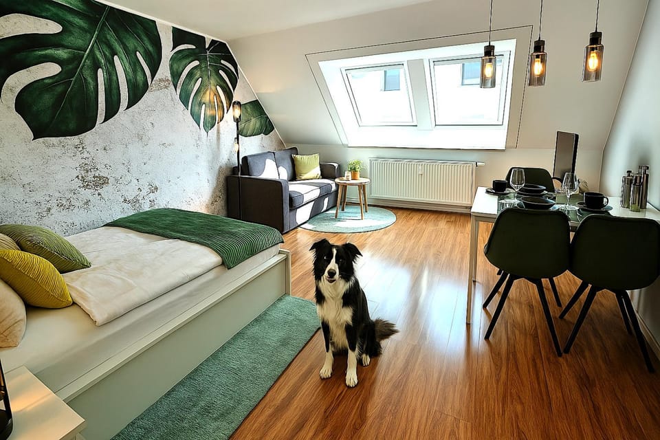 Bed, Living room, Photo of the whole room, Seating area, Bedroom, Pets