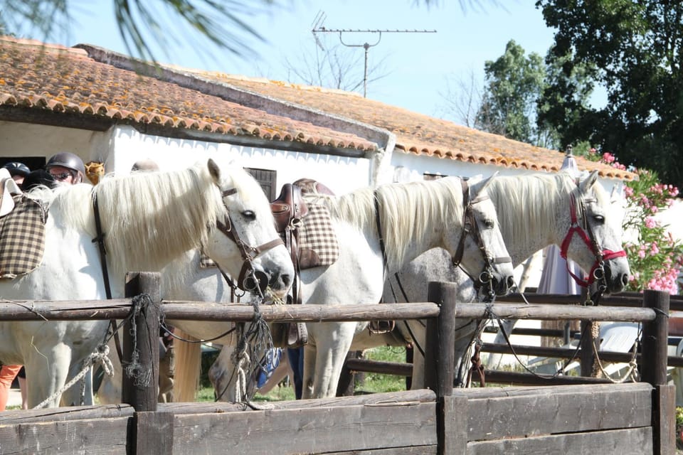 Horse-riding