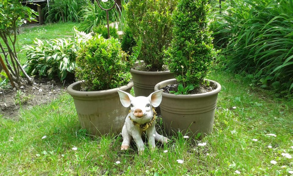 Hôtel Vauban Hotel in Switzerland