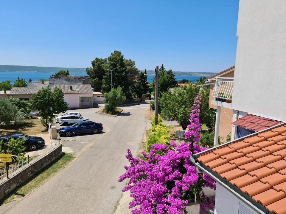 Sea view, Street view