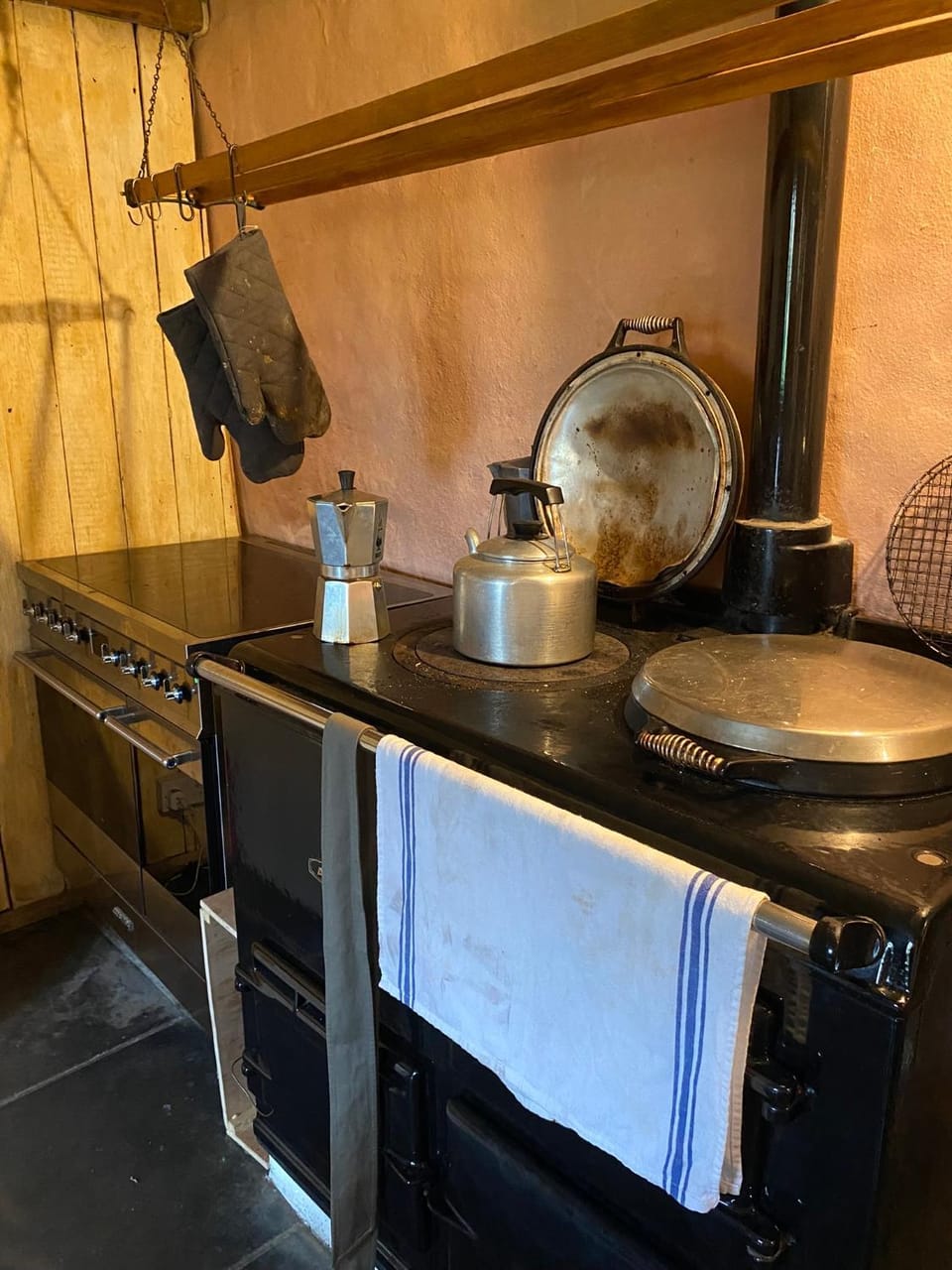 Kitchen or kitchenette, pet friendly