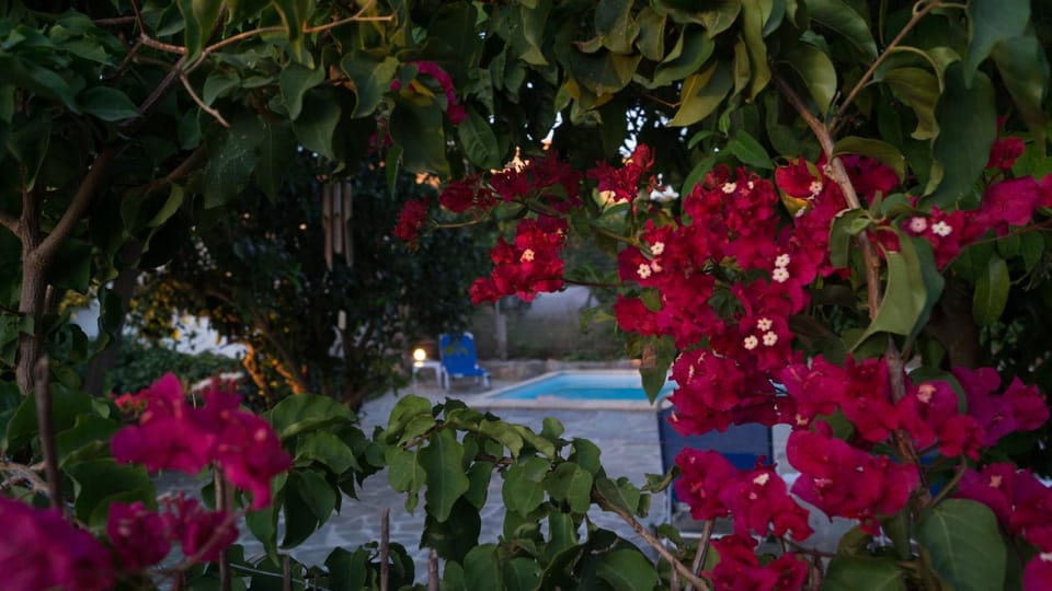 BBQ facilities, Swimming pool, Swimming pool