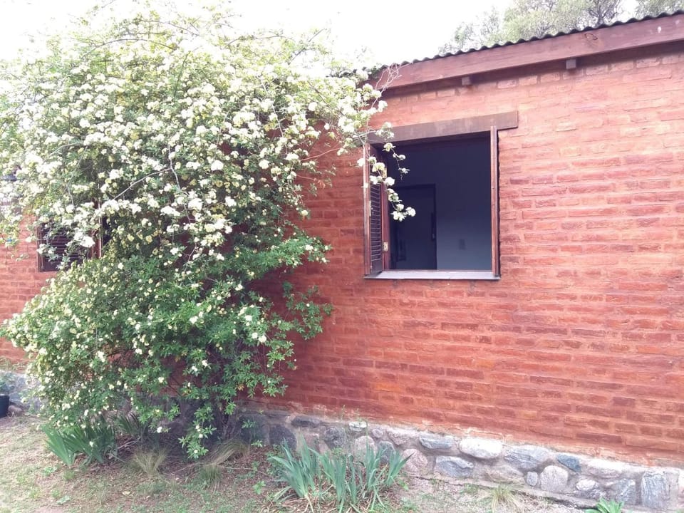 Los abedules Apartment in Capilla del Monte