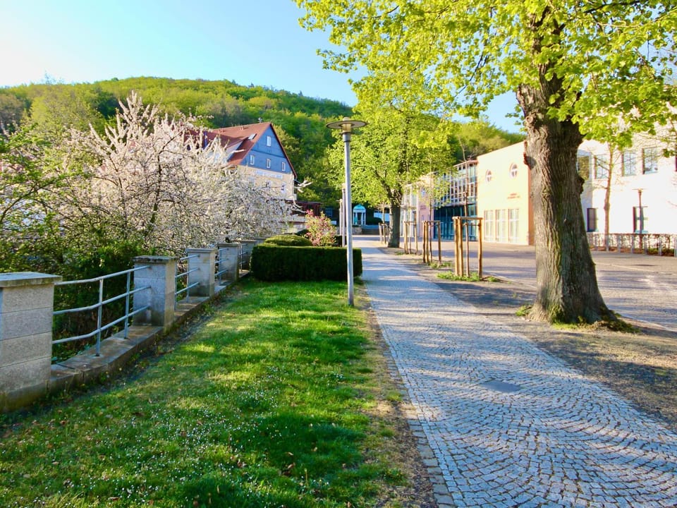 Neighbourhood, Natural landscape