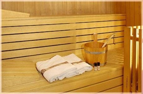 Sauna, Spa and wellness centre/facilities