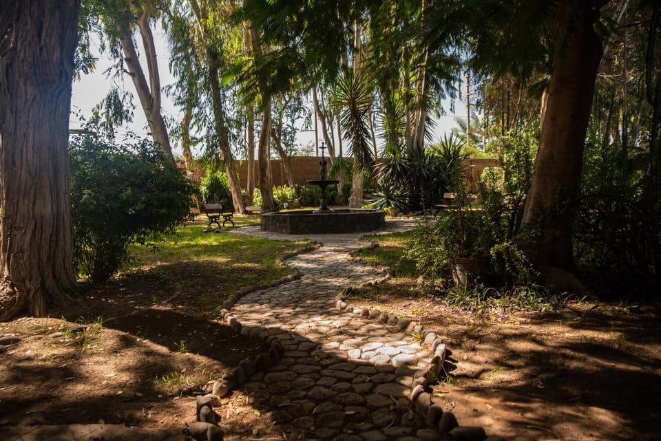 Natural landscape, Garden