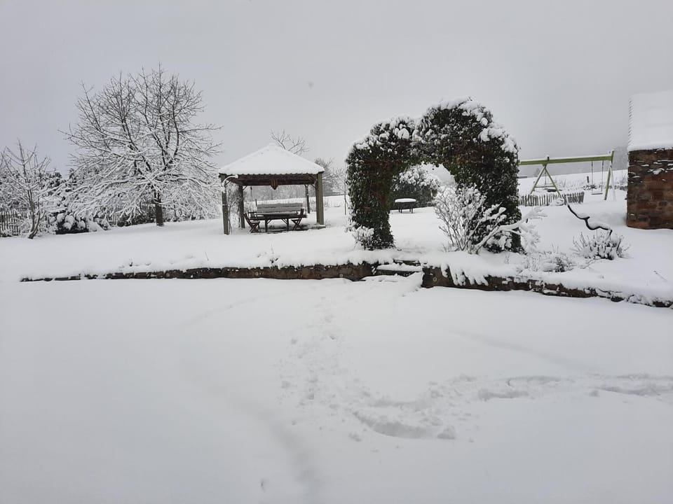 Neighbourhood, Garden