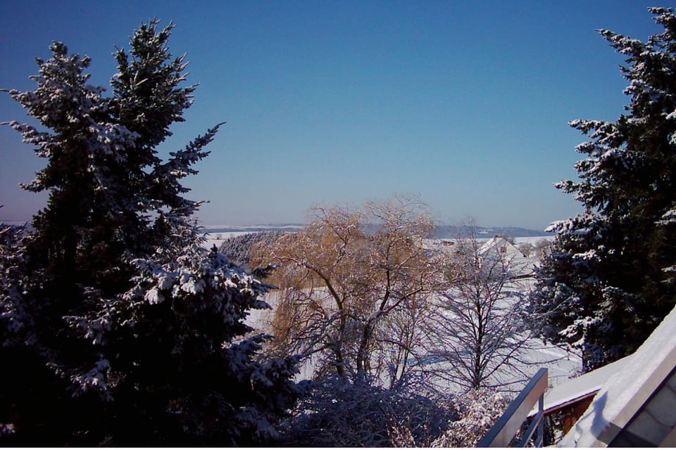 Winter, View (from property/room)