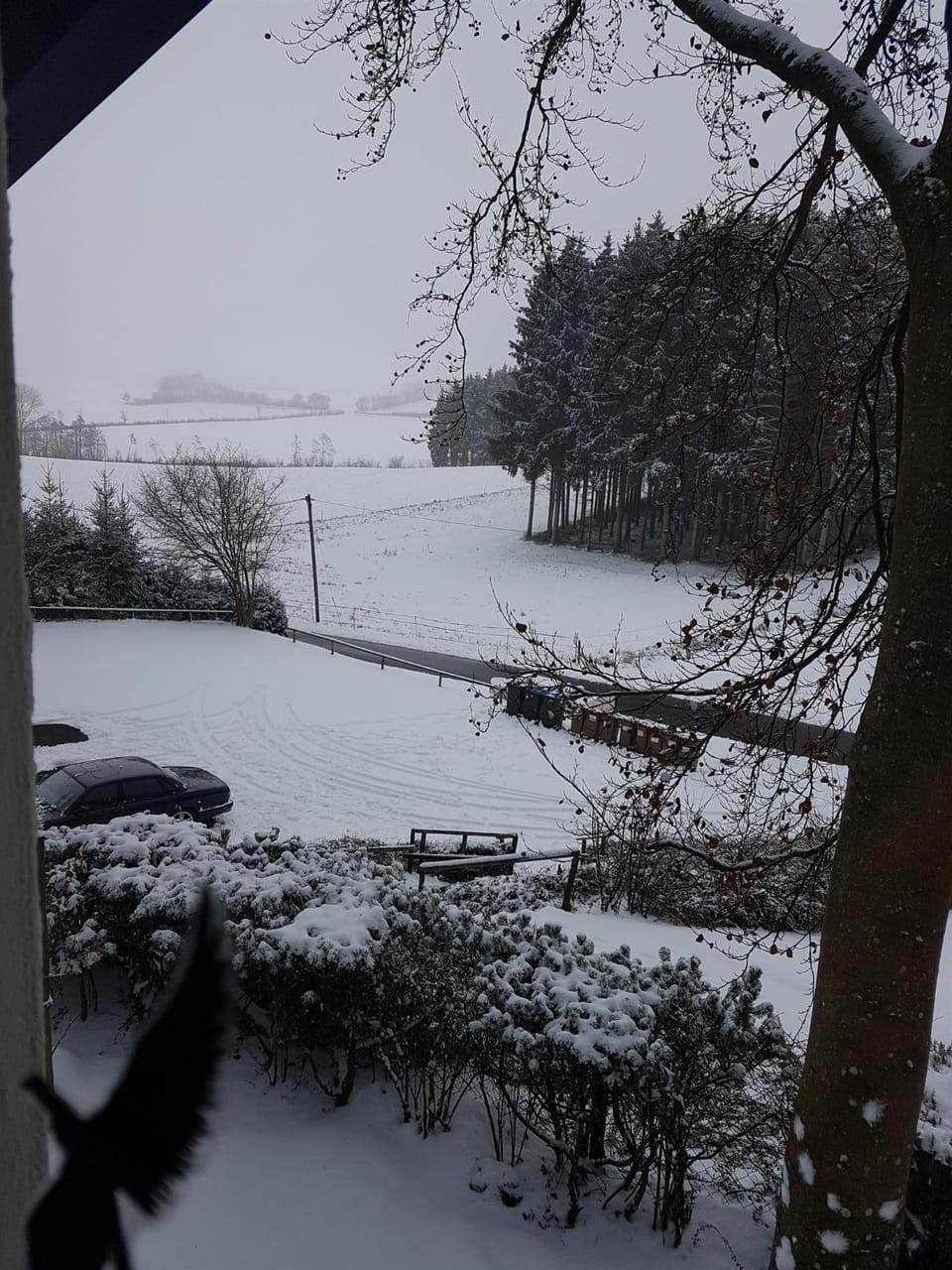 Garden, Garden view