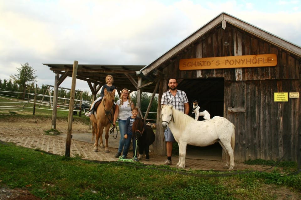 Horse-riding, Animals