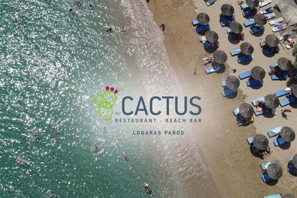 Restaurant/places to eat, Bird's eye view, Beach
