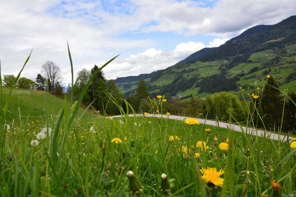 Niederstallnhof Apartment in Salzburgerland