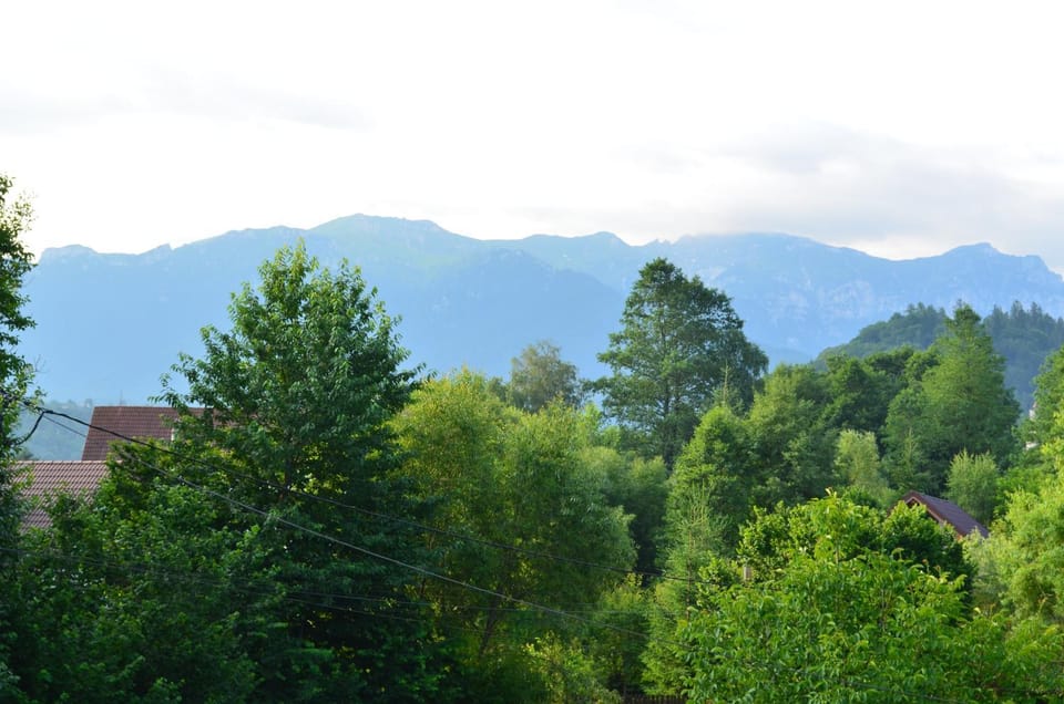Day, Mountain view