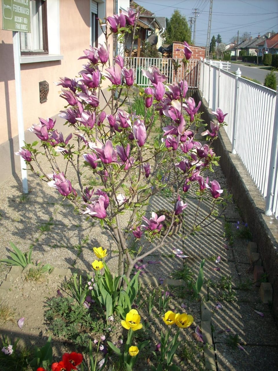 Spring, On site