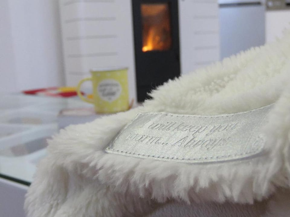 Winter Iris Apartment in Federation of Bosnia and Herzegovina