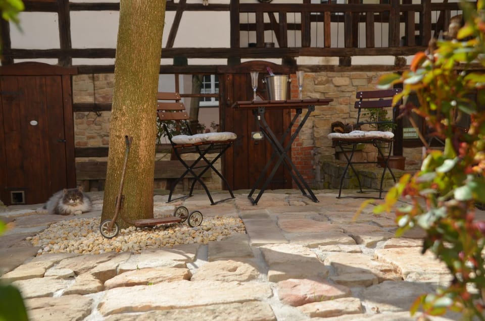 Patio, Garden