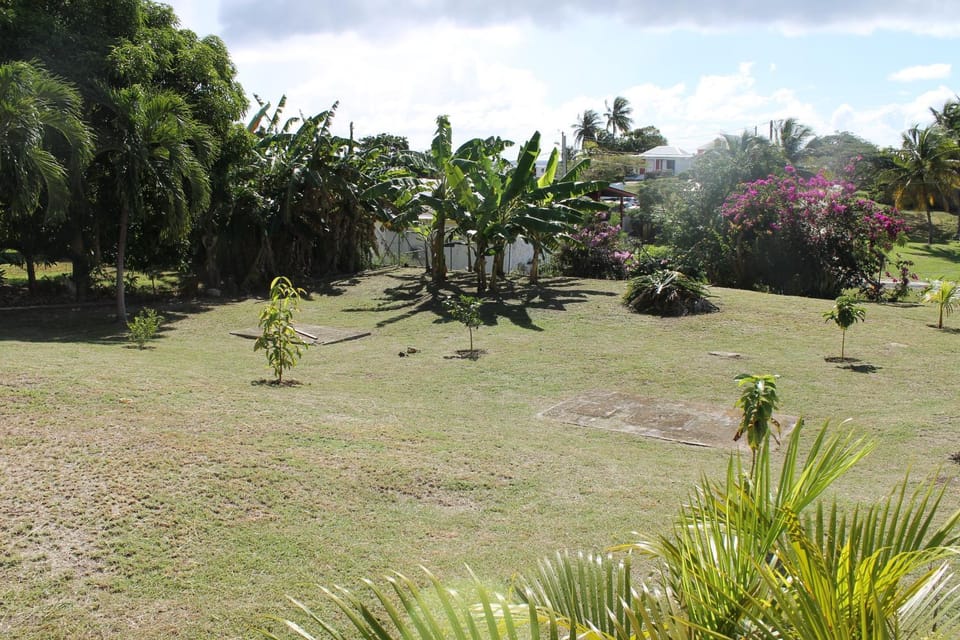 Garden, Garden view