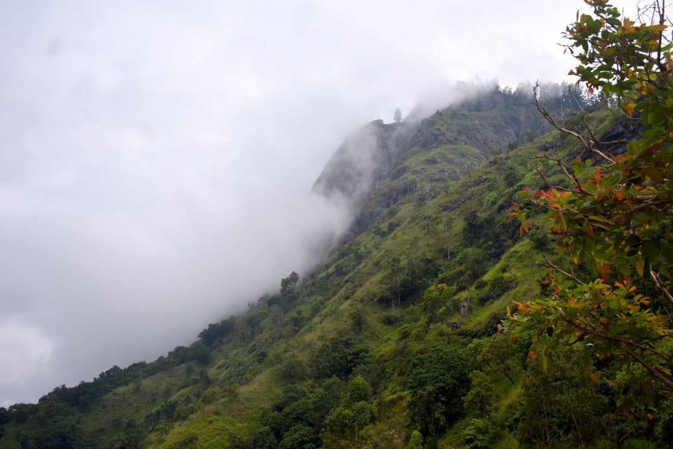 Mountain view