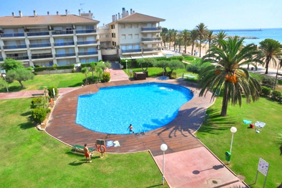 Garden, Pool view, Swimming pool