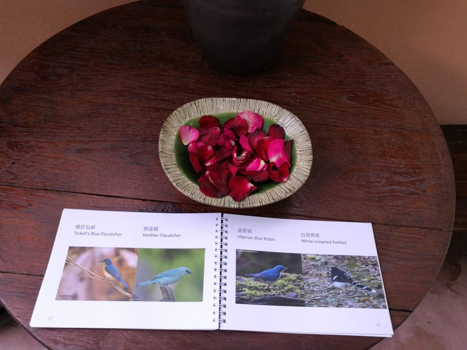 Pimthong Place Bed and Breakfast in Bangkok