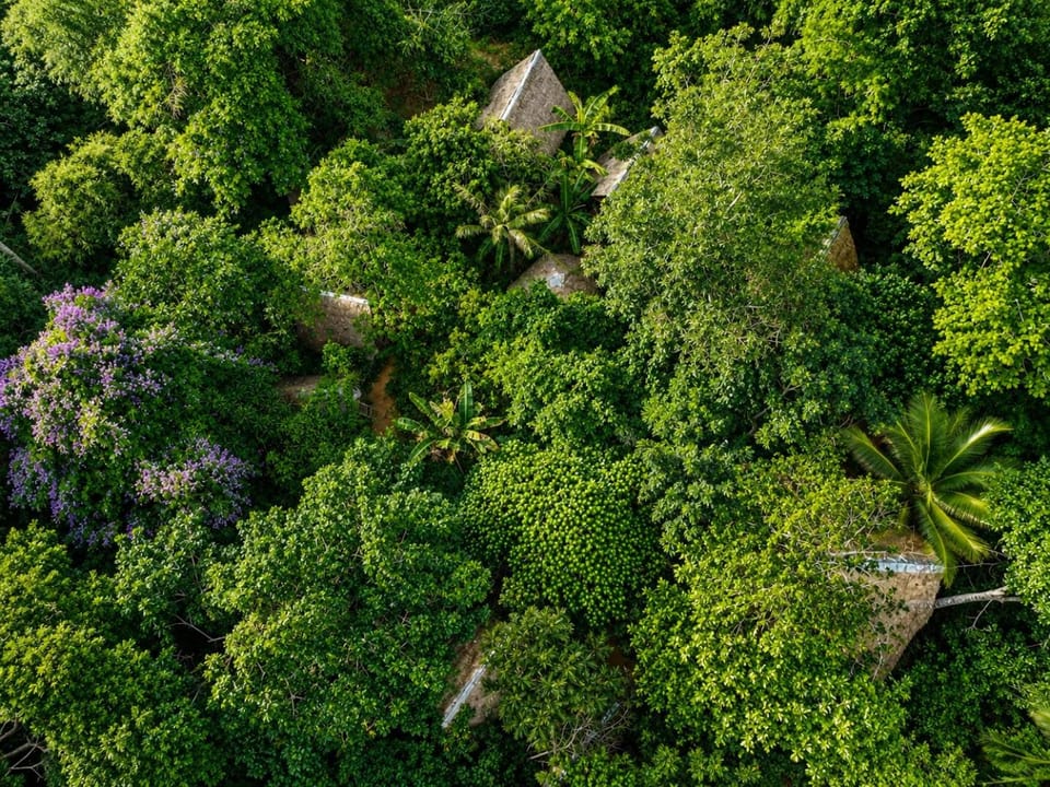 Ecocio Jungle Retreat Hostel in Coron