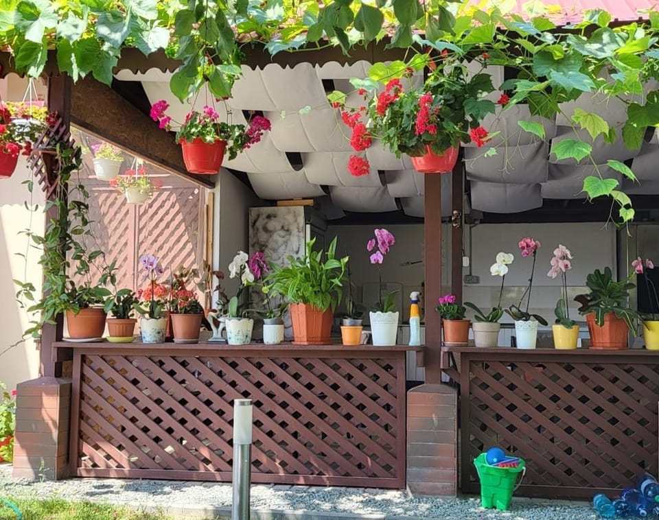 Casa Sunshine Bed and Breakfast in Dobrich Province, Bulgaria