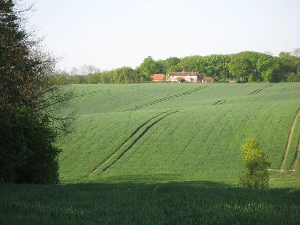Wellrose Barn House in East Hertfordshire District