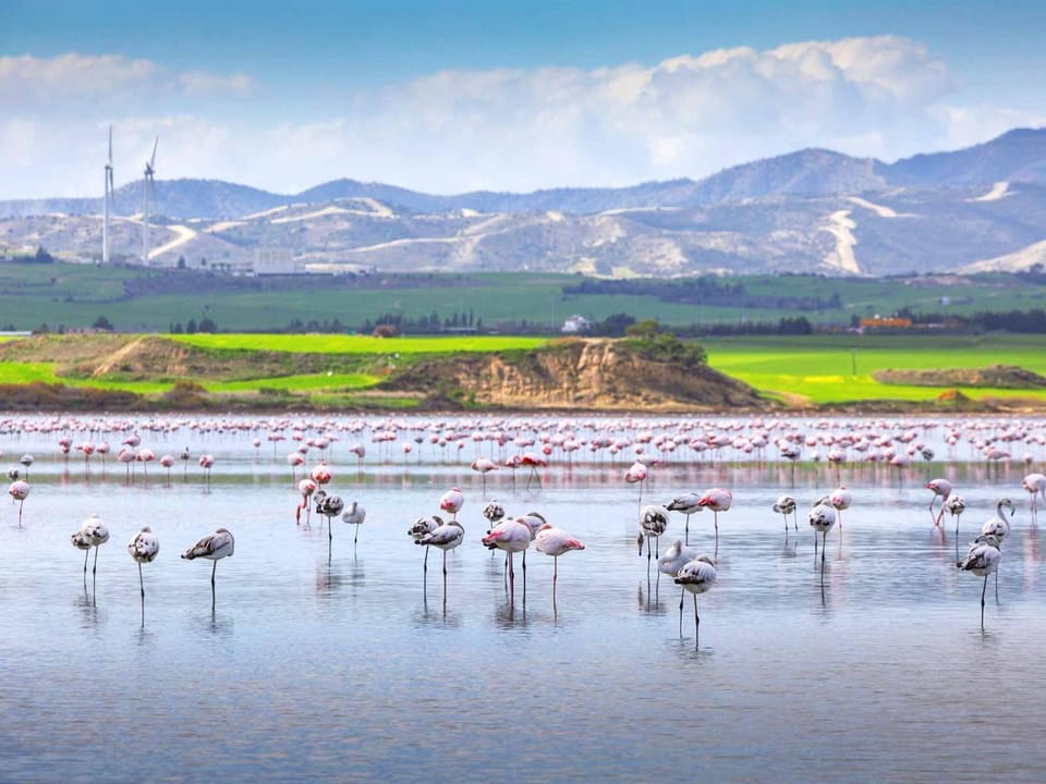 Nearby landmark, Natural landscape
