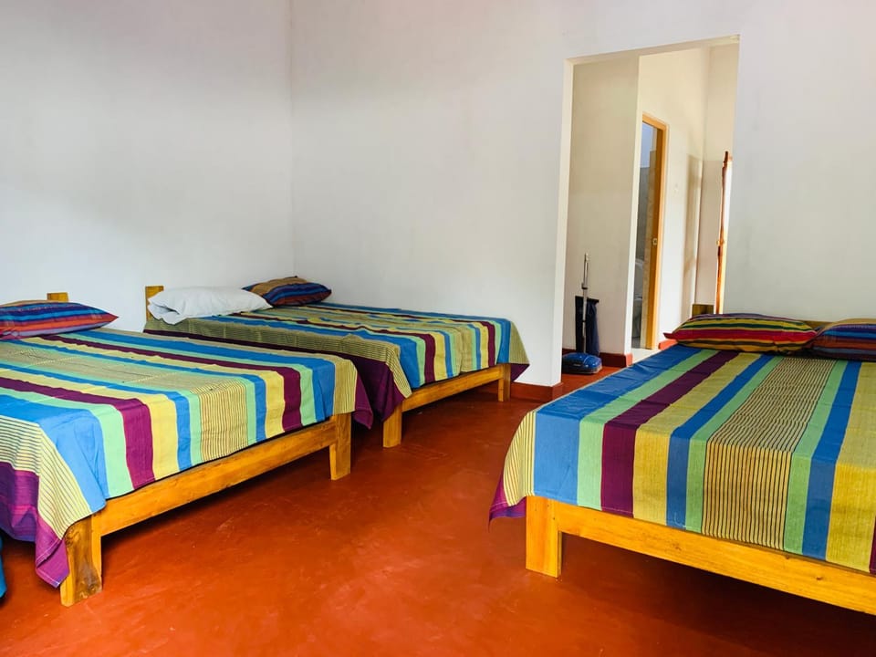 Coco Garden Holiday Homes Hostel in Sri Lanka