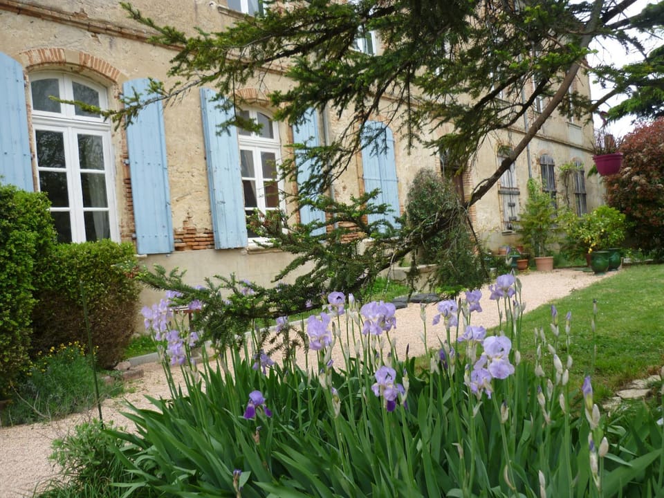 Château de Vallègue Bed and Breakfast in Occitanie