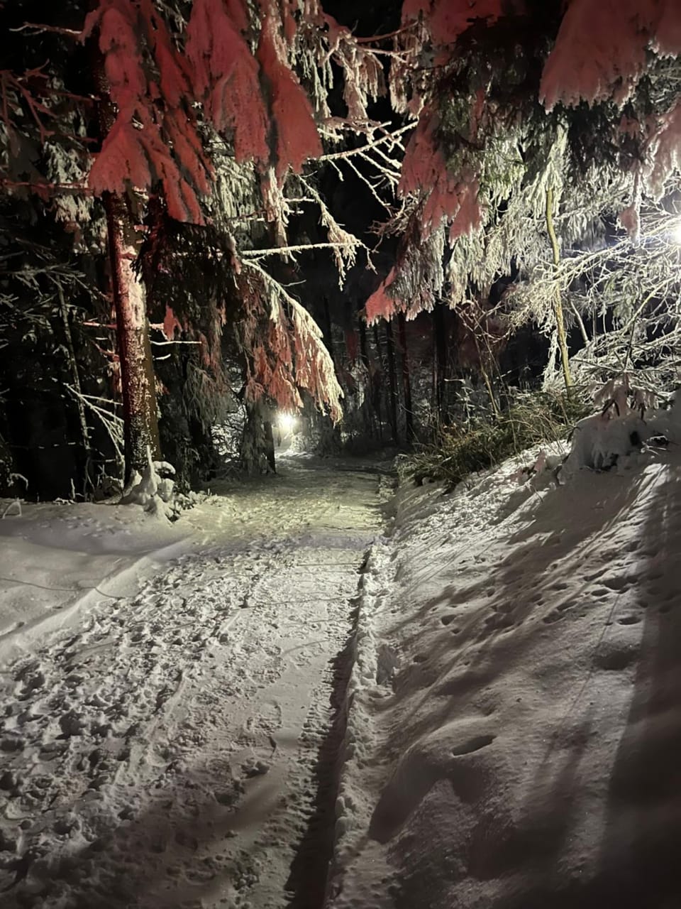 Night, Natural landscape