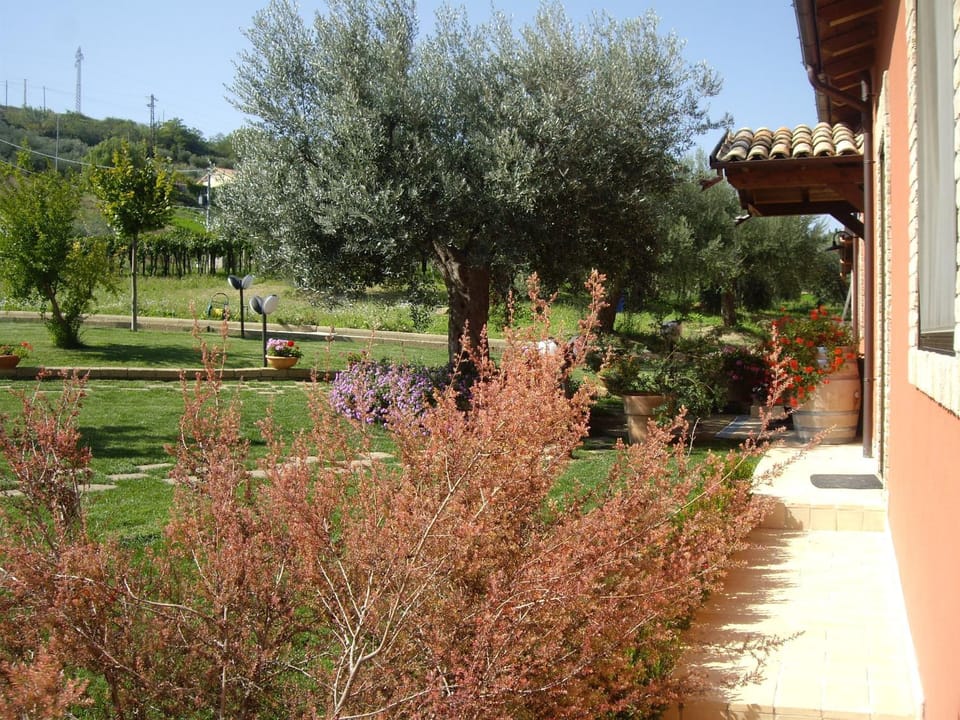 Day, Garden
