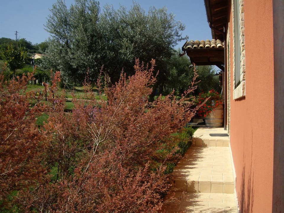 Day, Garden
