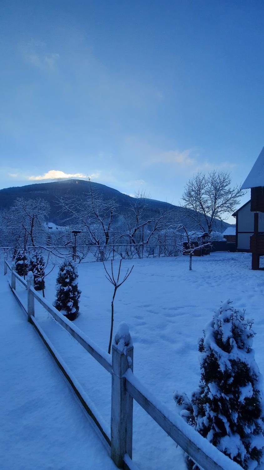 Winter, Mountain view