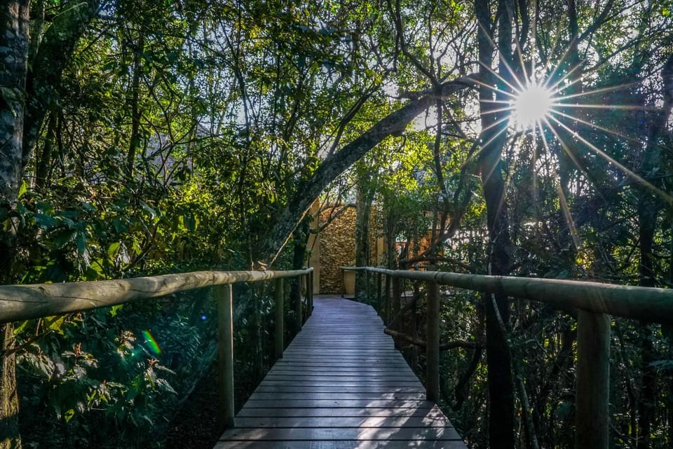 Trogon House and Forest Spa Bed and Breakfast in Eastern Cape