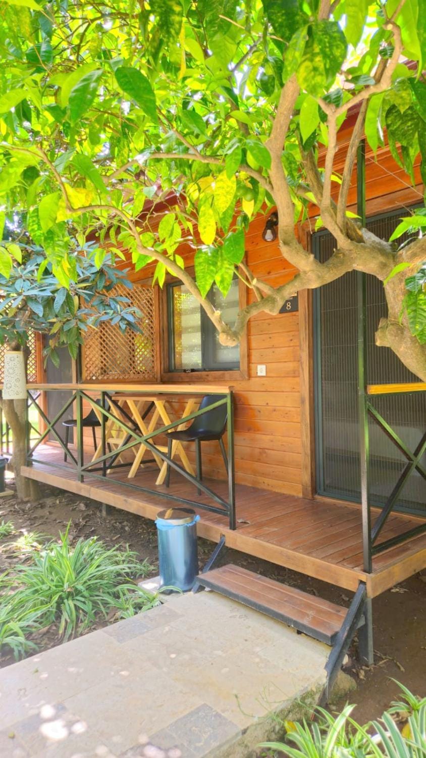 Property building, Patio, Day, Garden, Balcony/Terrace, Garden view