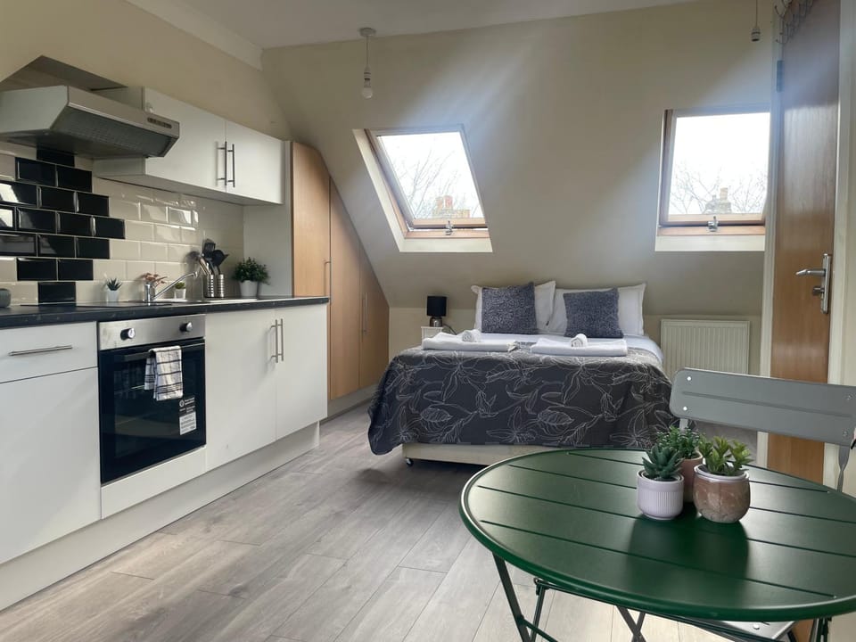 Amazing Studios - East London Walthamstow Apartment in London Borough of Hackney