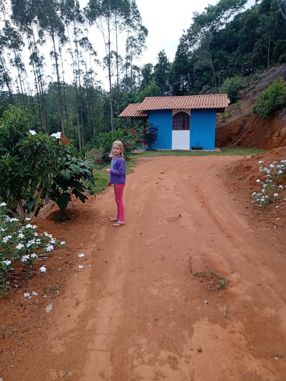 Pousada Bergehaus Inn in State of Espírito Santo, Brazil
