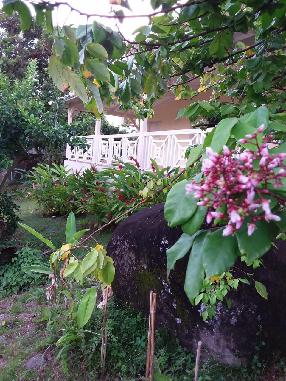 Property building, Garden