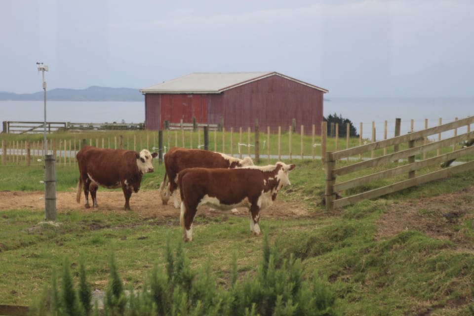 High Ridge House Apartment in Northland