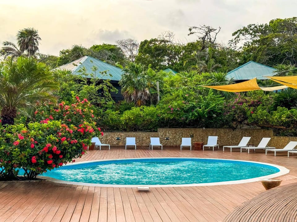 Garden, Swimming pool