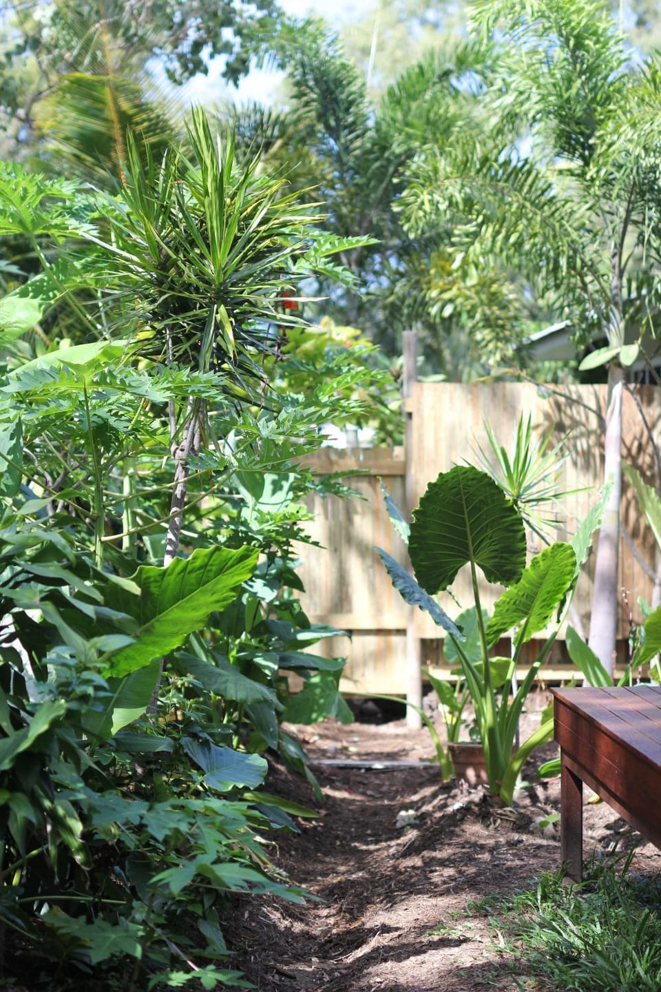 Island Cottages House in Queensland