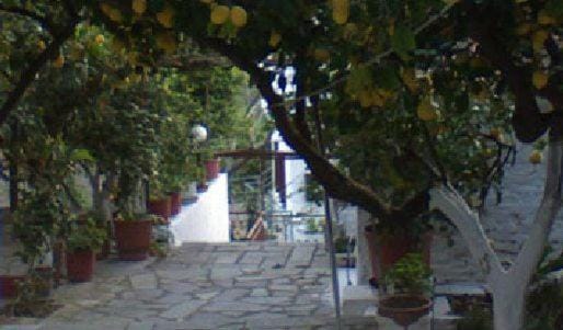Lemon House Apartment in Samos Prefecture